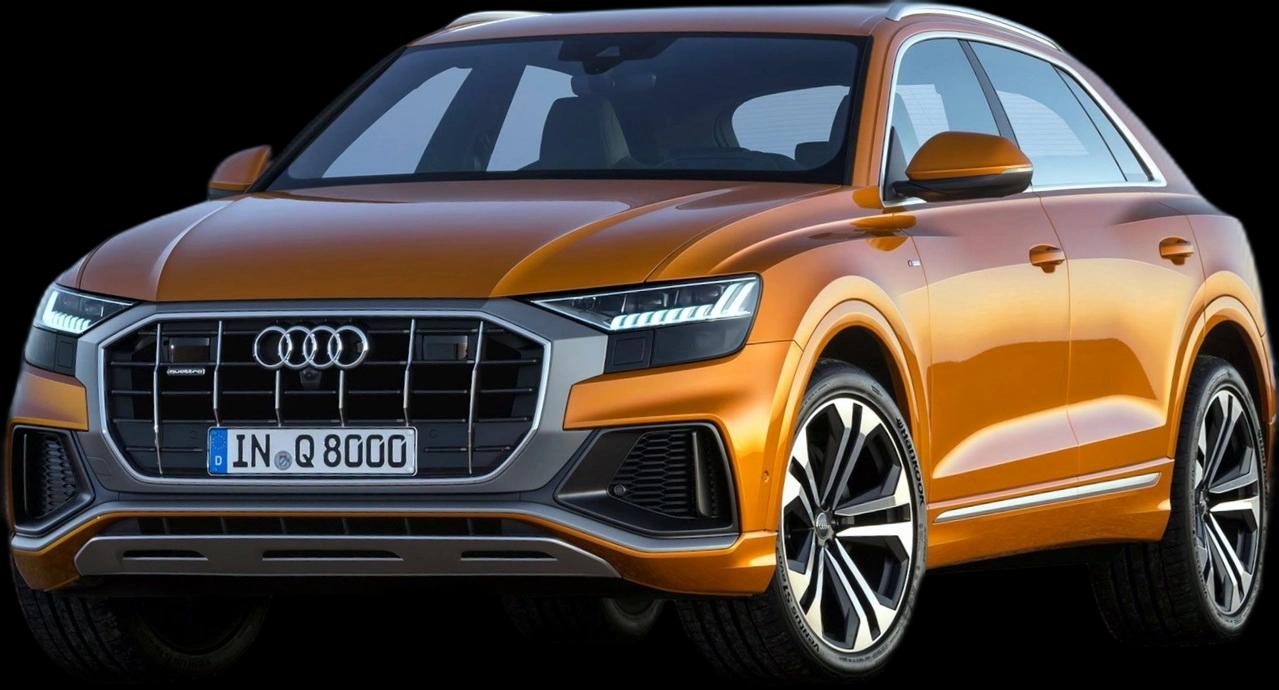 Audi Q8 Perf.Black 3.0 TFSI Quat. S-tr/(Híb.) - 2021 - Gasolina