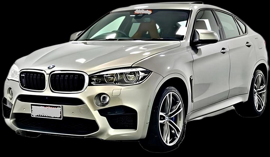 BMW X6 M 4.4 4x4 V8 32V Bi-Turbo Aut. - 2017 - Gasolina