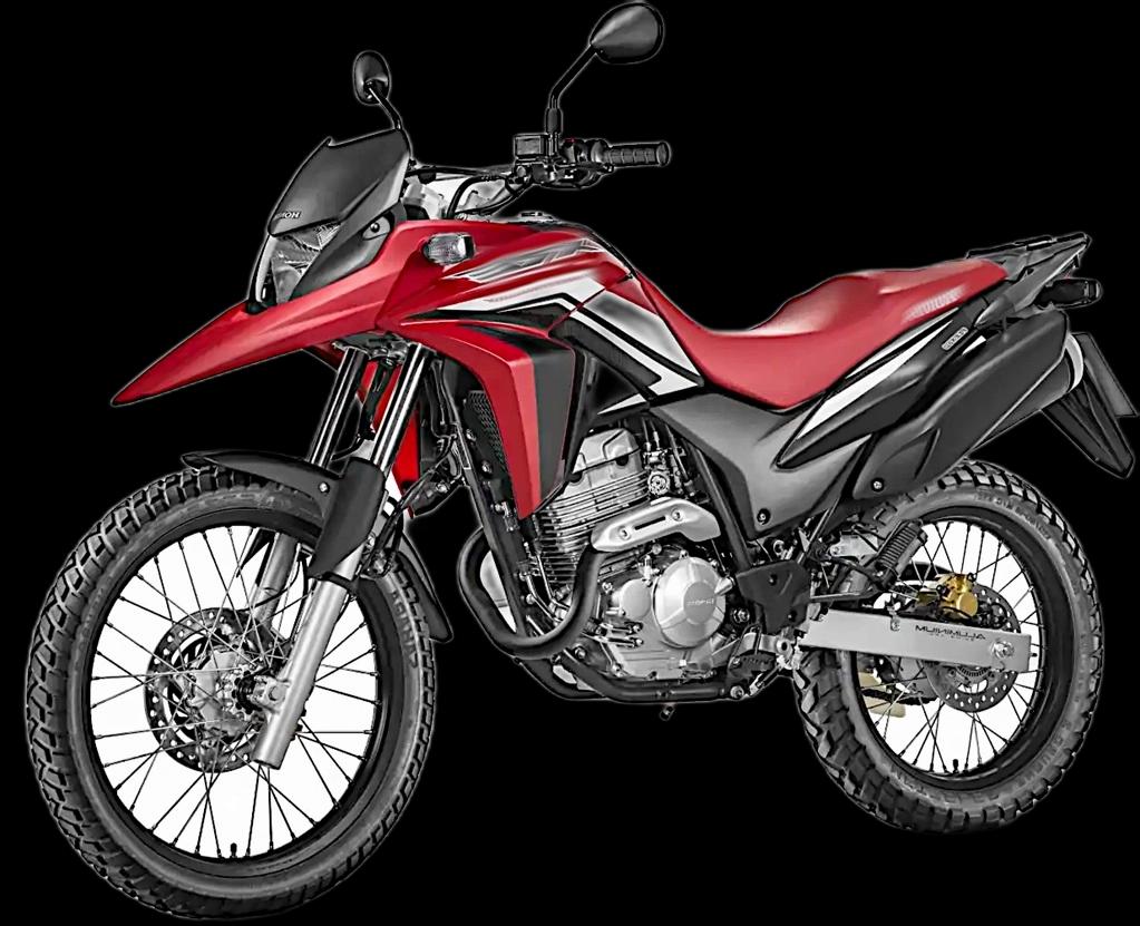 HONDA XRE 300 RALLY FLEX - 2014 - Gasolina